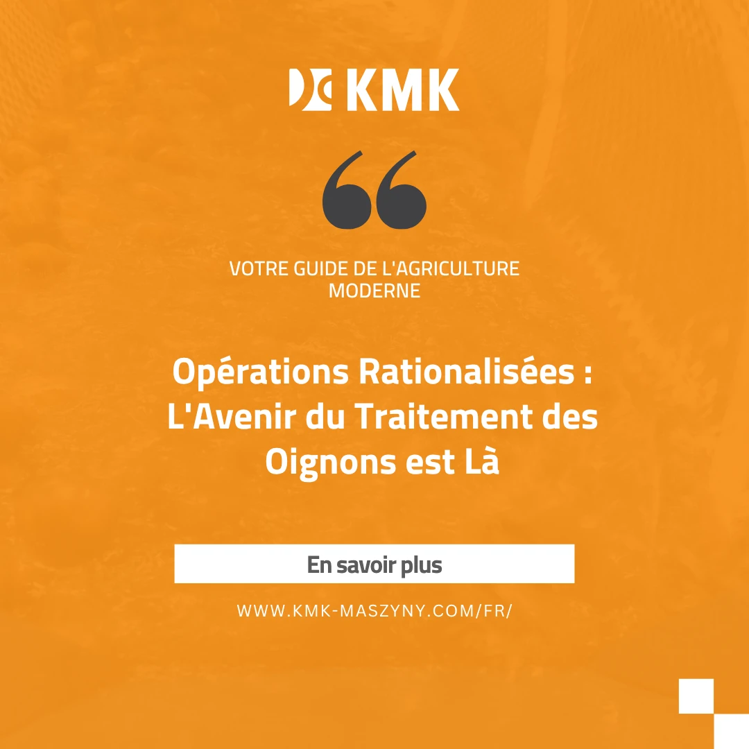 Opérations Rationalisées : L&rsquo;Avenir du Traitement des Oignons est Là